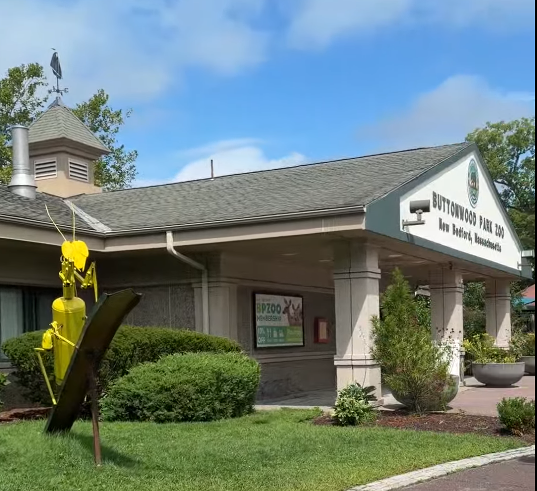 🐆 Weekend Plan: Buttonwood Park Zoo